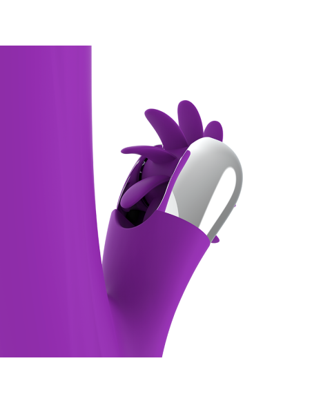 FUN FUNCTION - BUNNY FUNNY ROTATION 2.0 