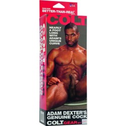 CALEXOTICS - COLT PENE REALÍSTICO ADAM DEXTER CALEXOTICS 2