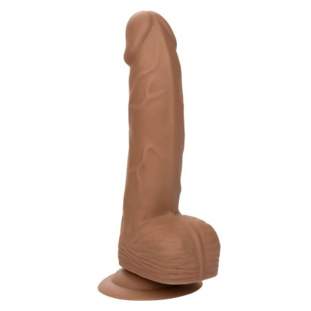 CALEXOTICS - SILICONE STUDS 15.24 CM BROWN CALEXOTICS