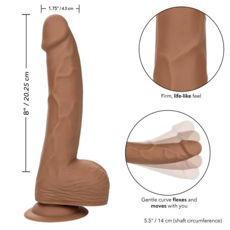 CALEXOTICS - SILICONE STUDS 20.32 CM BROWN CALEXOTICS