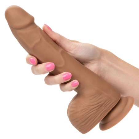 CALEXOTICS - SILICONE STUDS 20.32 CM BROWN CALEXOTICS