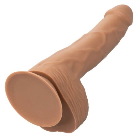 CALEXOTICS - SILICONE STUDS 20.32 CM BROWN CALEXOTICS