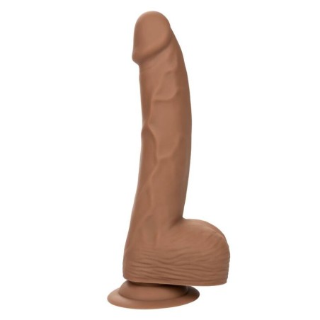 CALEXOTICS - SILICONE STUDS 20.32 CM BROWN CALEXOTICS