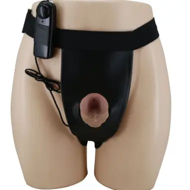 Harness Briefs con Vibración Dildo Incluido | Pretty Love