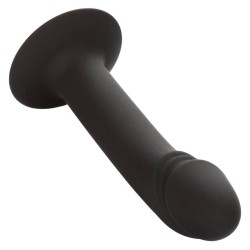 CALEXOTICS - CURVED ANAL STUD CALEXOTICS 2