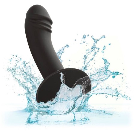 CALEXOTICS - CURVED ANAL STUD CALEXOTICS