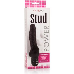 CALEXOTICS - POWER STUD CLITERRIFIC VIBRADOR NEGRO CALEXOTICS 2