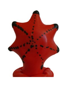 CONDOMERIE - PRESERVATIVO DECORATIVO PINTADO A MANO ESTRELLA DE MAR