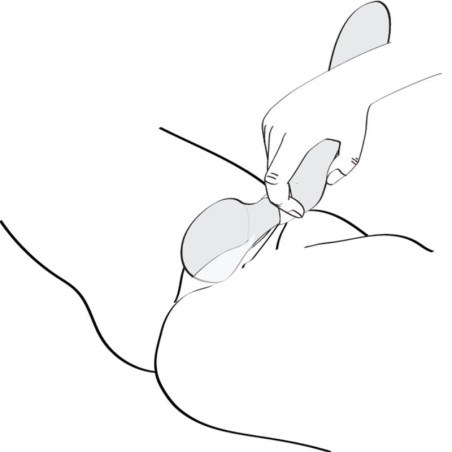 SHUNGA - ZOA MASAJEADOR INTIMO NEGRO SHUNGA TOYS