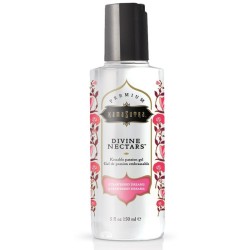 KAMASUTRA - DIVINE NECTARS LUBRICANTE STRAWBERRY DREAM 150 ML KAMASUTRA  COSMETICS