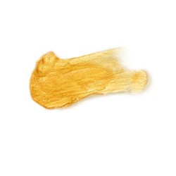 SECRETPLAY - PRETTY BUT WILD ACEITE BRILLO CORPORAL MONODOSIS SECRETPLAY COSMETIC 2