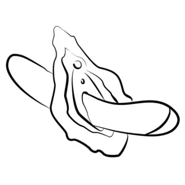 Hype Vibrador Punto G Multifunción Rojo - Recargable | ROMP