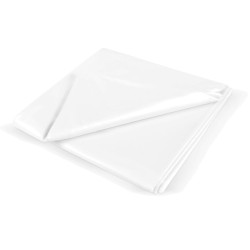 JOYDIVISION SEXMAX - SABANA BLANCA DE PLASTICO REUTILIZABLE JOYDIVISION SexMAX
