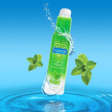 PASANTE - LUBRICANTE SABOR MENTA 75 ML PASANTE
