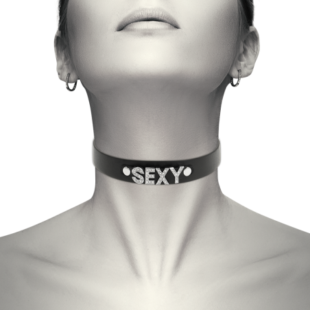 COQUETTE CHIC DESIRE - CHOKER CUERO VEGANO SEXY COQUETTE ACCESSORIES
