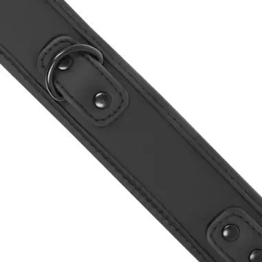 Collar con Cadena con Forro de Neopreno | Fetish Submissive
