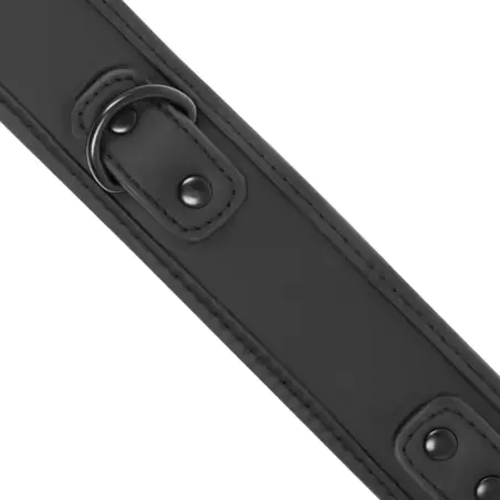 Collar con Cadena con Forro de Neopreno | Fetish Submissive