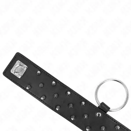 Collar con Correa 65 cm con Tachuelas Plateadas Modelo
