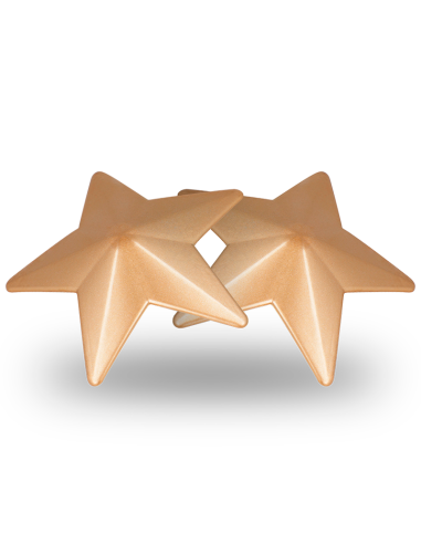 COQUETTE CHIC DESIRE - CUBRE PEZONES METAL ESTRELLAS 