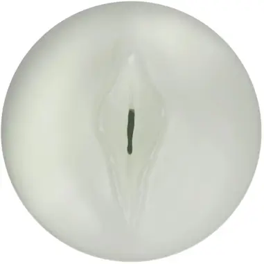 Feel Glow In The Dark Stroker - Tacto Realista | Kiiroo