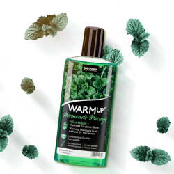 JOYDIVISION - WARMUP GEL MASAJE EFECTO CALOR MENTA 150 ML JOYDIVISION 2