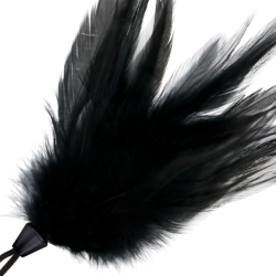 DARKNESS - PLUMA ESTIMULADORA NEGRO 17 CM DARKNESS SENSATIONS 2