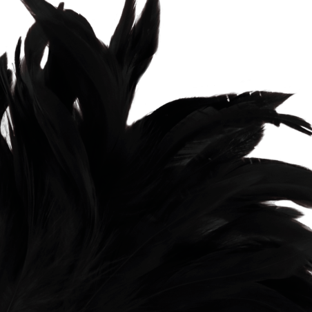 DARKNESS - PLUMA ESTIMULADORA NEGRO LUX DARKNESS SENSATIONS