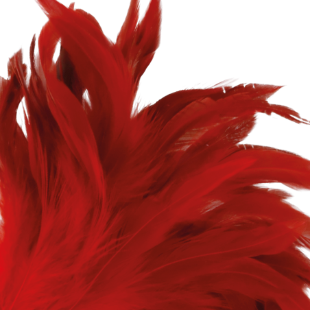 DARKNESS - PLUMA ESTIMULADORA ROJO 24CM DARKNESS SENSATIONS