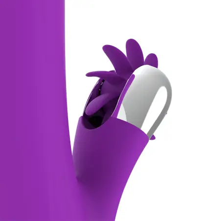 Bunny Funny Rotation 2.0 - Rotación | Fun Function