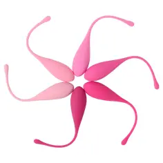 LESLIE - KEGEL FIT ENTREGADOR SUELO PELVICO 6 PESOS 2
