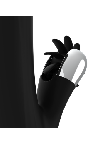 BLACK&SILVER - BUNNY STORM ROTATION VIBE 