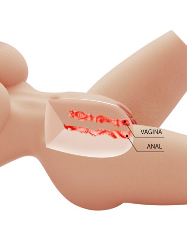 CRAZY BULL - LILY TORSO FEMENINO REALISTA VAGINA Y ANAL 4 KG Muñec@s Tamaño Real