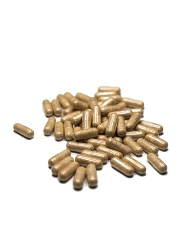 Orgasm Glow – Complemento alimenticio a base de hierbas Cápsulas para Mujeres