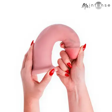 MR INTENSE - BIG TERENCE DILDO 22.5 CM -Ø- 5.6 CM Penes realísticos