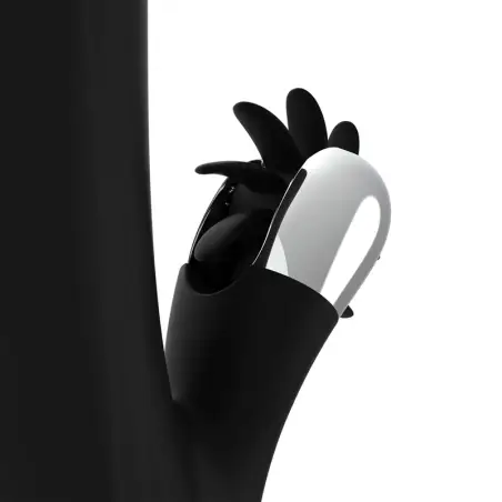 BLACK&SILVER - BUNNY STORM ROTATION VIBE 