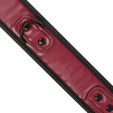 FETISH SUBMISSIVE DARK ROOM - COLLAR CON CADENA CON FORRO DE NEOPRENO 