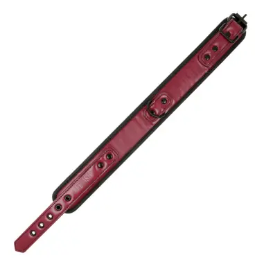 FETISH SUBMISSIVE DARK ROOM - COLLAR CON CADENA CON FORRO DE NEOPRENO 