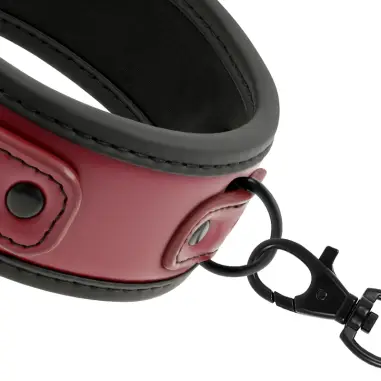 FETISH SUBMISSIVE DARK ROOM - COLLAR CON CADENA CON FORRO DE NEOPRENO 
