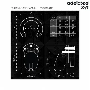 ADDICTED TOYS LOCKED - FORBIDDEN VAULT JAULA PARA PENE 10 CM 