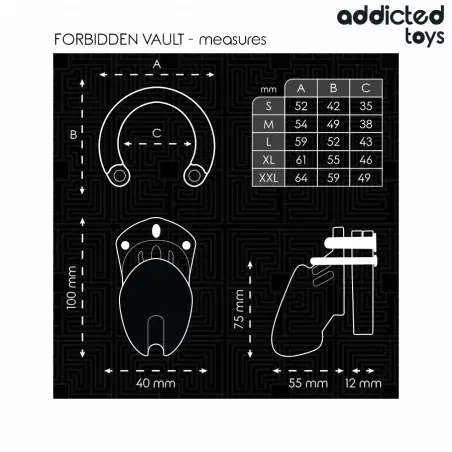 ADDICTED TOYS LOCKED - FORBIDDEN VAULT JAULA PARA PENE 10 CM 
