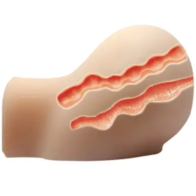 CRAZY BULL - VAGINA Y ANO REALÍSTICOS CON VIBRACIÓN POSICIÓN 6 Vaginas con vibración