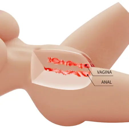 CRAZY BULL - LILY TORSO FEMENINO REALISTA VAGINA Y ANAL 4 KG Muñec@s Tamaño Real