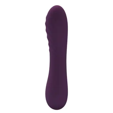 Alexisrose Vibrador Recargable 10 Funciones Morado