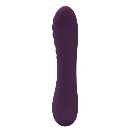 Alexisrose Vibrador Recargable 10 Funciones Morado