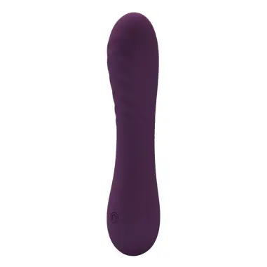 Alexisrose Vibrador Recargable 10 Funciones Morado