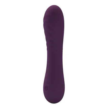 Alexisrose Vibrador Recargable 10 Funciones Morado