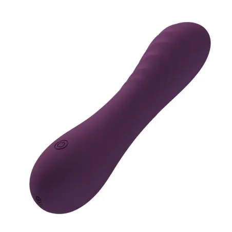 Alexisrose Vibrador Recargable 10 Funciones Morado