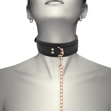 Fantasy Collar Cuero Vegano con Correa y Forro de Neopreno