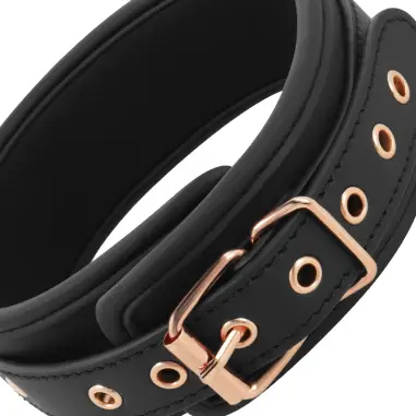 Fantasy Collar Cuero Vegano con Correa y Forro de Neopreno