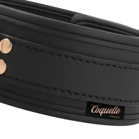 Fantasy Collar Cuero Vegano con Correa y Forro de Neopreno